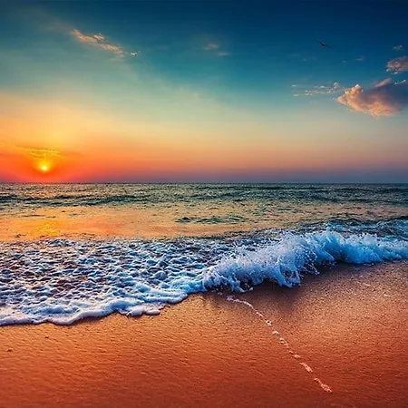 Daire Elegant Mamaia Nord 2 Navodari