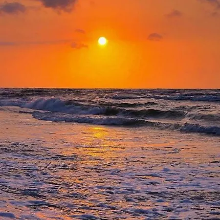 Elegant Mamaia Nord 2